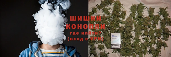 ГАЛЛЮЦИНОГЕННЫЕ ГРИБЫ Чекалин