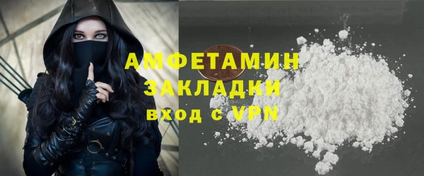 ГАЛЛЮЦИНОГЕННЫЕ ГРИБЫ Чекалин