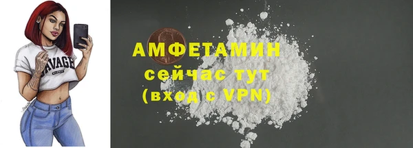 ГАЛЛЮЦИНОГЕННЫЕ ГРИБЫ Чекалин
