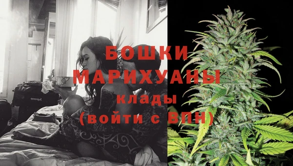 ГАЛЛЮЦИНОГЕННЫЕ ГРИБЫ Чекалин