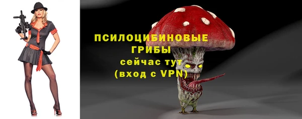 ГАЛЛЮЦИНОГЕННЫЕ ГРИБЫ Чекалин