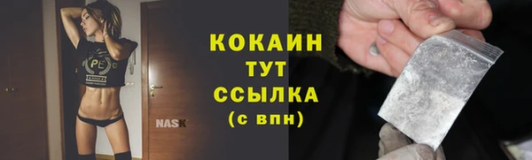ГАЛЛЮЦИНОГЕННЫЕ ГРИБЫ Чекалин