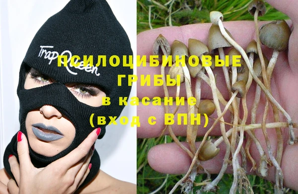 ГАЛЛЮЦИНОГЕННЫЕ ГРИБЫ Чекалин