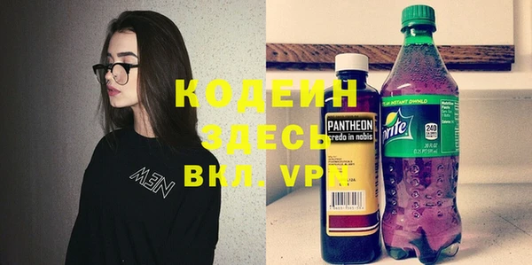 ГАЛЛЮЦИНОГЕННЫЕ ГРИБЫ Чекалин