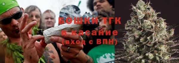 ГАЛЛЮЦИНОГЕННЫЕ ГРИБЫ Чекалин