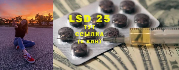 ГАЛЛЮЦИНОГЕННЫЕ ГРИБЫ Чекалин