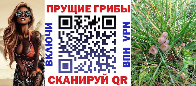 Псилоцибиновые грибы прущие грибы Артёмовск